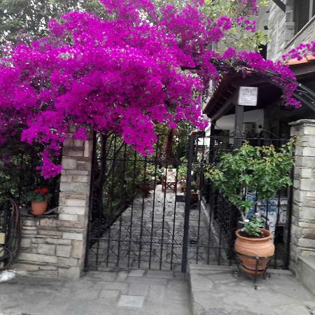 Papatzikos Traditional Guesthouse เนโอสมาร์มาราส ภายนอก รูปภาพ