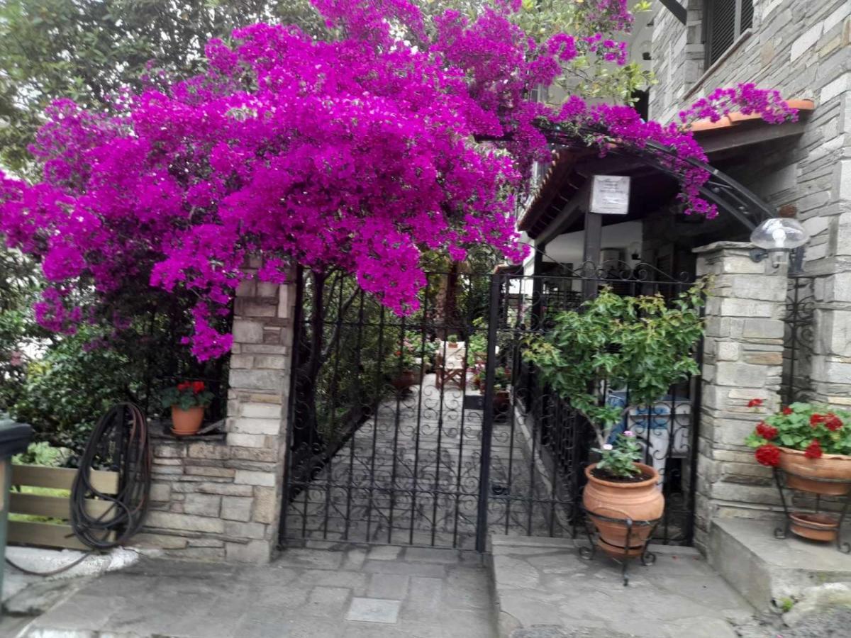 Papatzikos Traditional Guesthouse เนโอสมาร์มาราส ภายนอก รูปภาพ